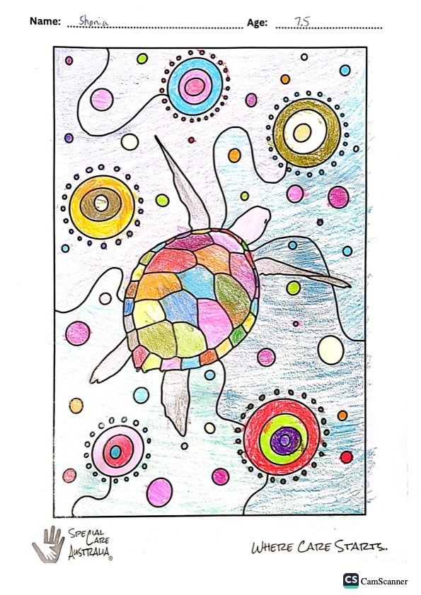 Turtle Dreaming by Shania