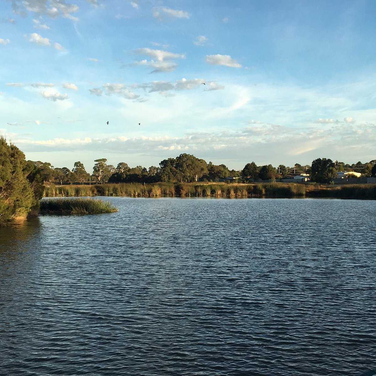 river-gum-creek-reserve